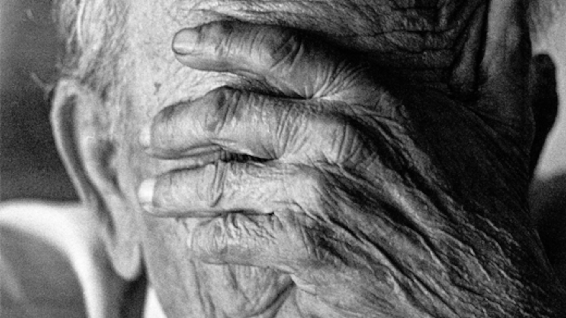 Comité de Educación de los Adultos